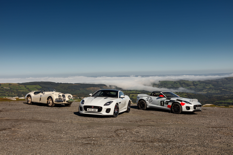 Illustration for article titled Jaguar Built an F-Type Rally Car